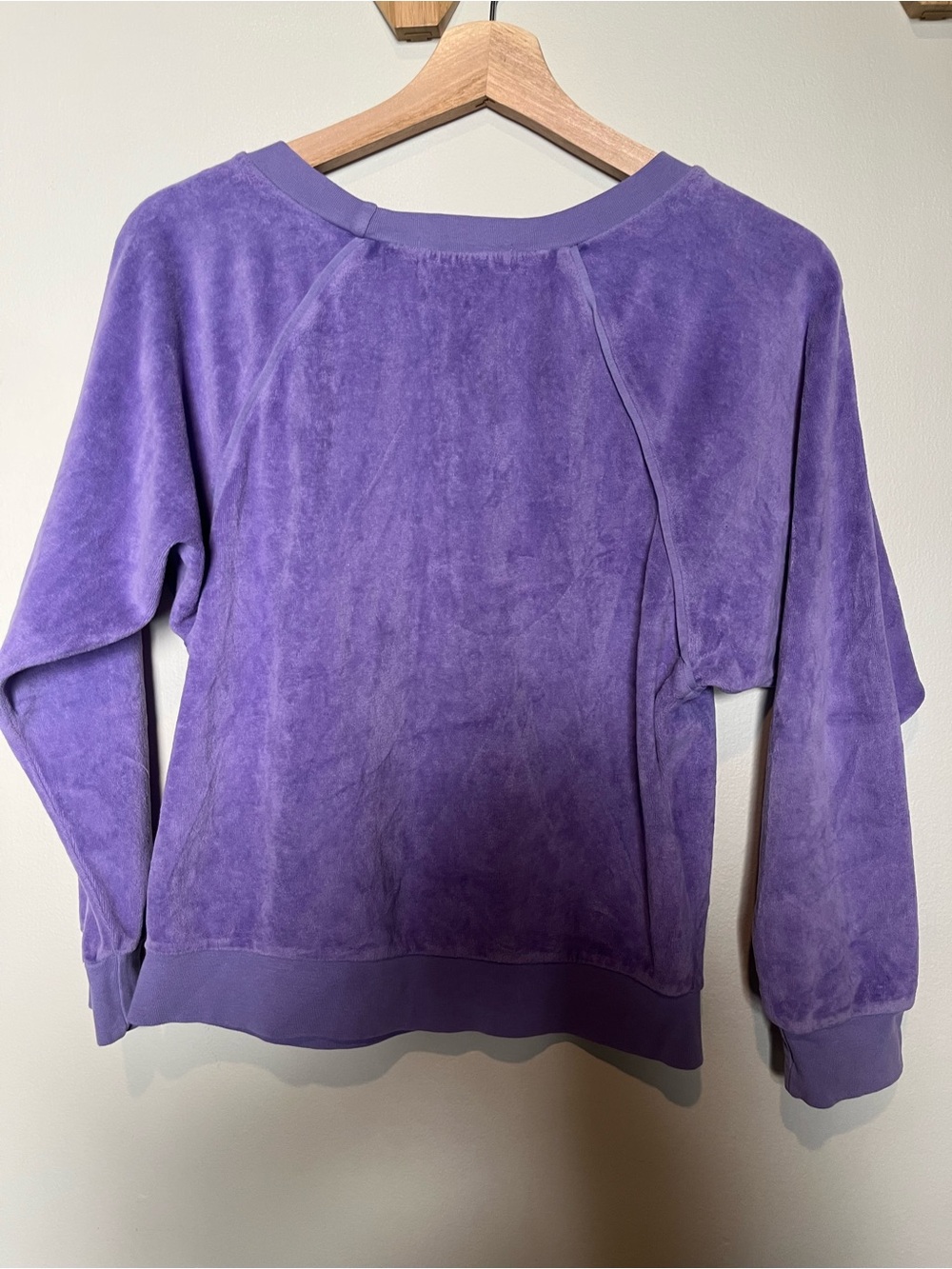 Suzi Kondi Lavender Velour Pullover Sweatshirt